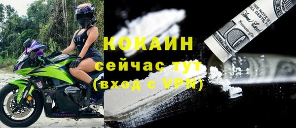 крисы Армянск
