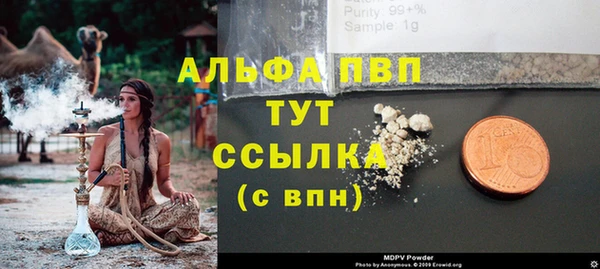 стаф Ростов