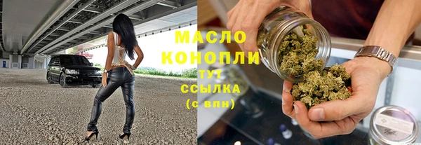 крисы Армянск