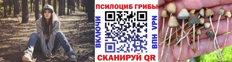Псилоцибиновые грибы прущие грибы что такое наркотик Лихославль